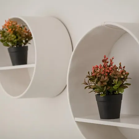 Premium In Ovo * Wroclaw